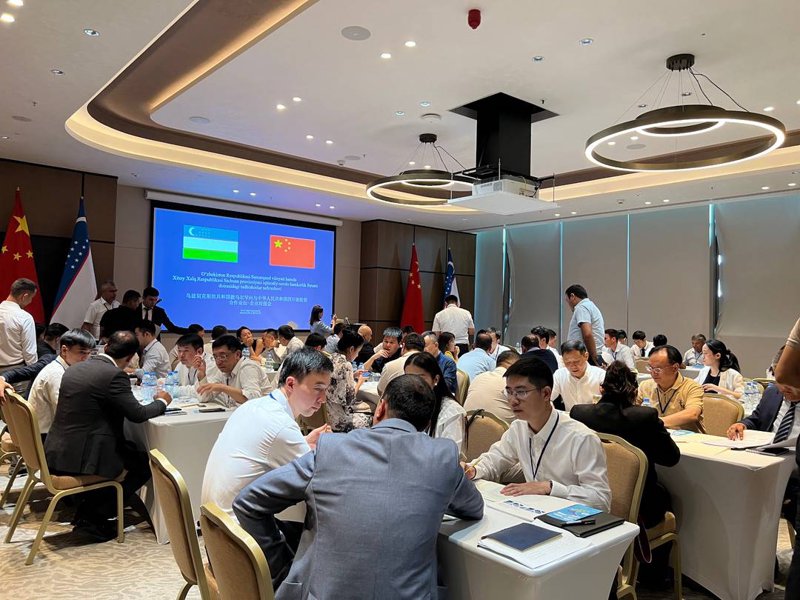 上海商务沙龙:拓展人脉与商业机遇的桥梁